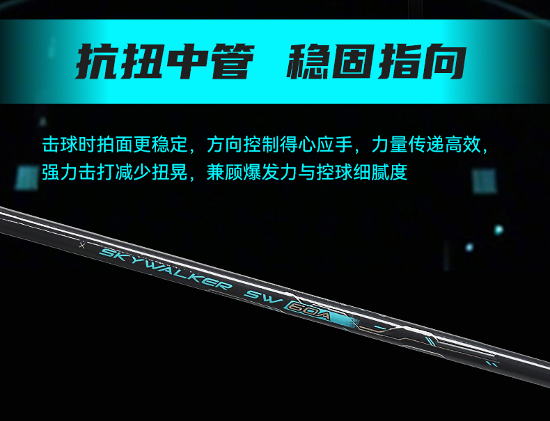 天行者_06.jpg